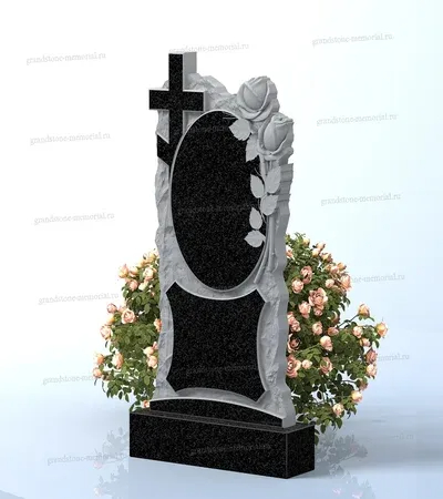 Комбинированный 221